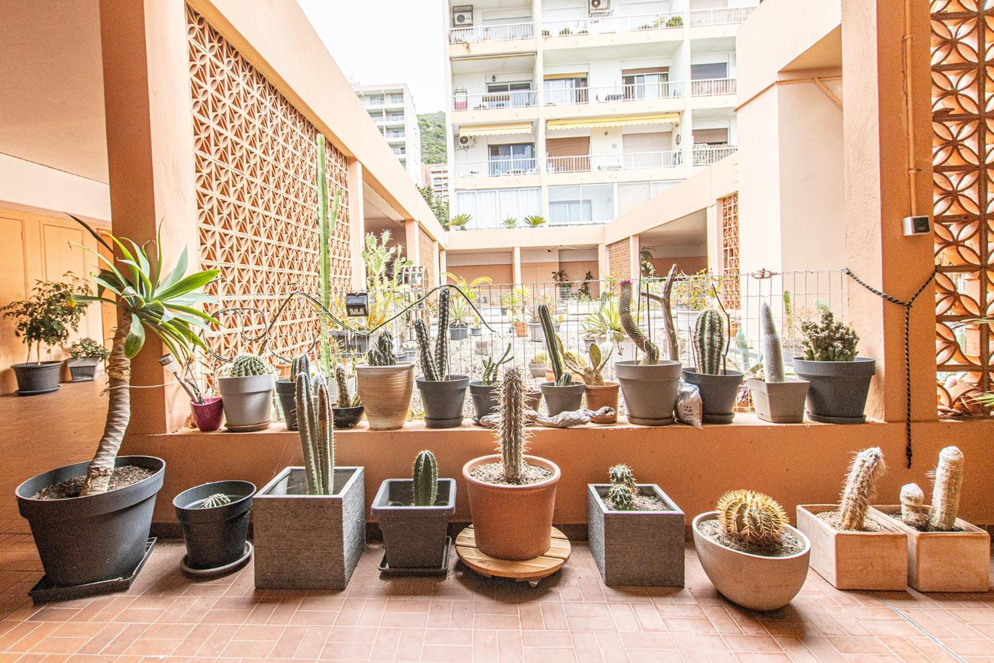 Parata Ajaccio  Ngoại thất bức ảnh